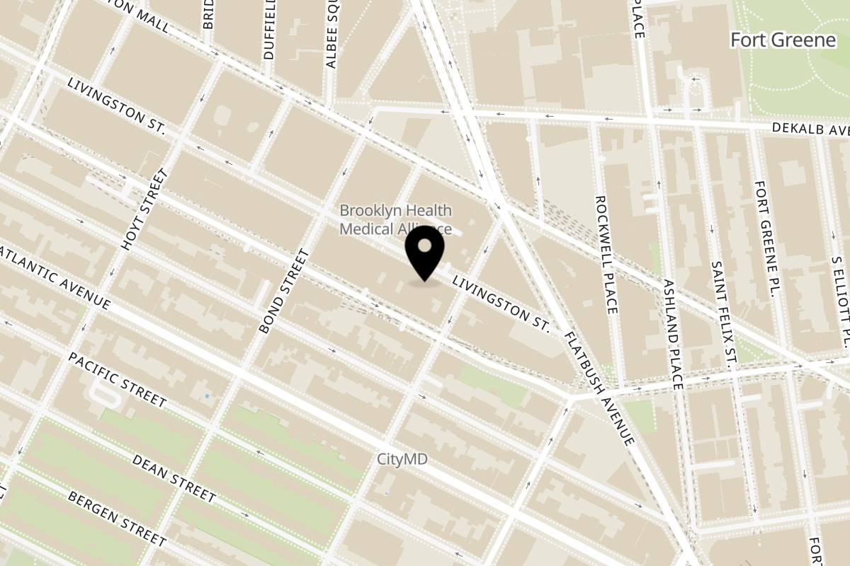 Map showing the location of Bites of Xi'an BK 西府小吃 on 318 Livingston St in Brooklyn